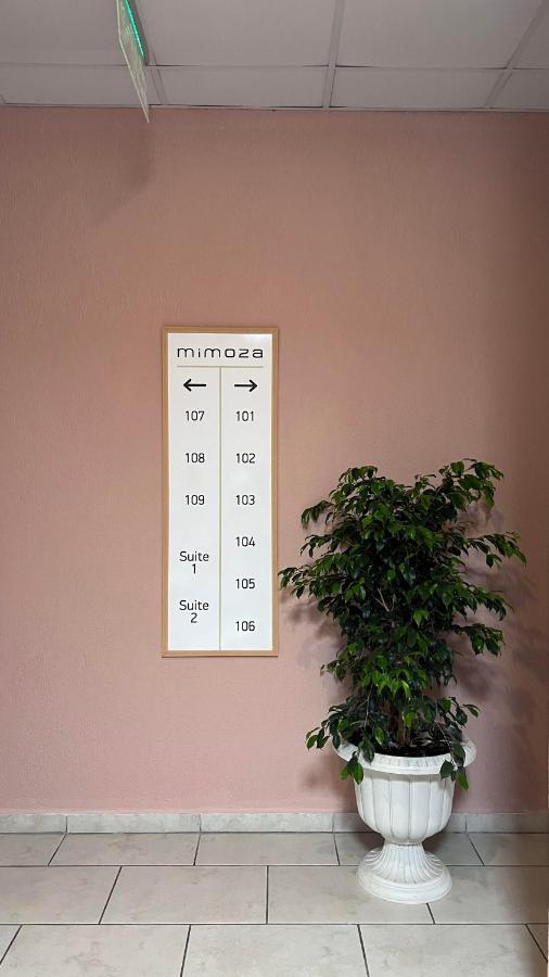 Mimoza Hotel 올루데니스 외부 사진