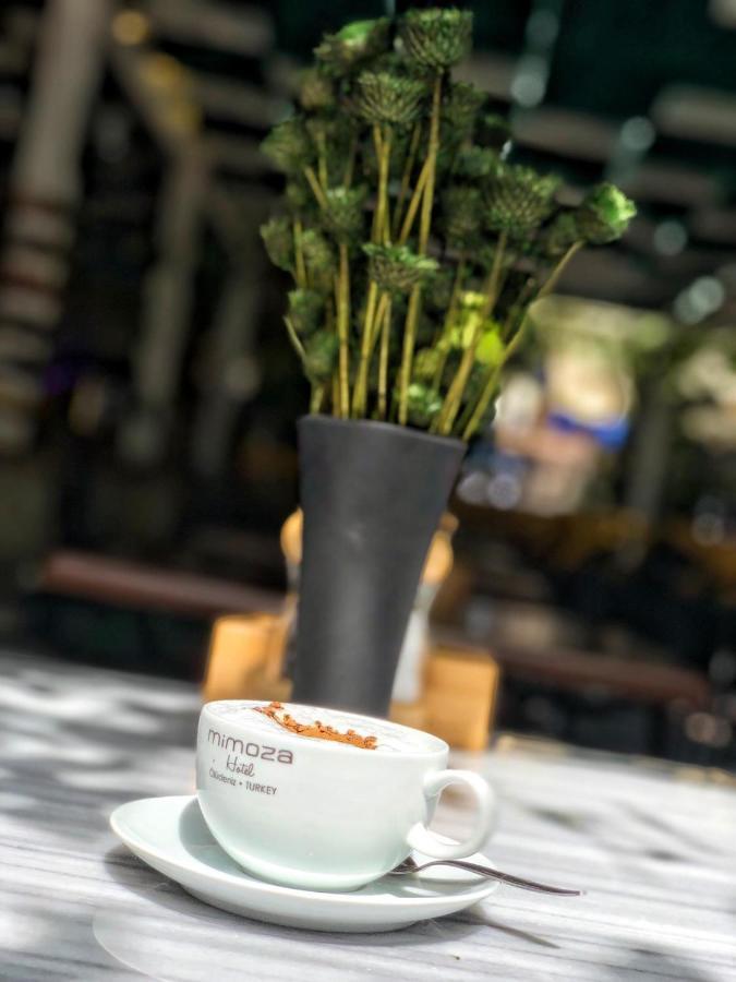 Mimoza Hotel 올루데니스 외부 사진